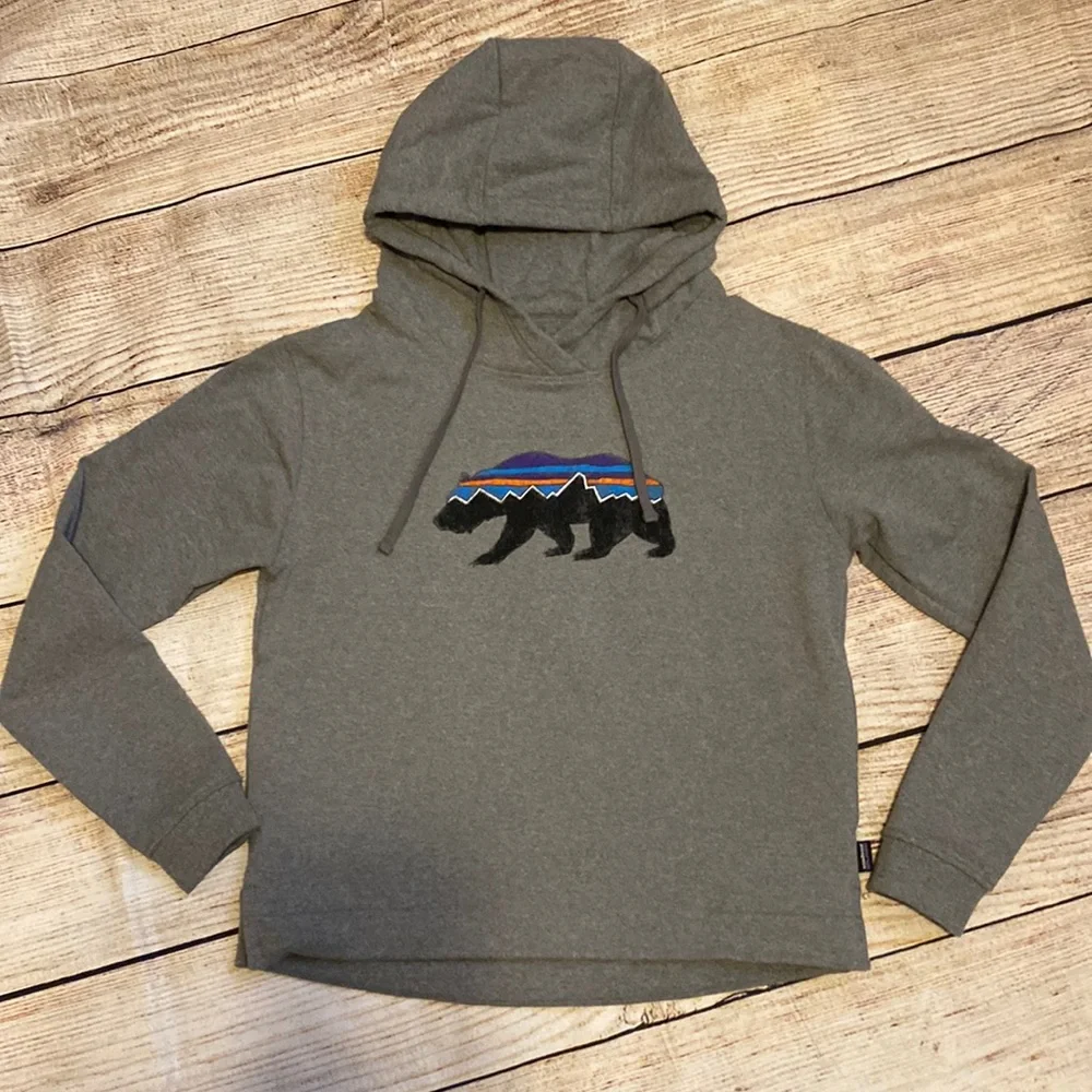 Patagonia Fitz Bear Uprisal Hoody - Picture 1 of 5